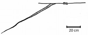 A splay vein associated with a sheared vein in granodiorite. Note that the splay vein narrows down away from the sheared fracture and is located slightly behind the apparent tip of the sheared fracture. From Segall and Pollard (1983).