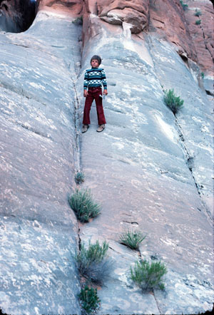 Joint traces exposed at a steep erosional surface of the Jurassic Entrada Sandstone northwest of the Devil's Garden parking lot area, Arches National Park, Utah. Please see Dyer (1983) and Cruikshank and Aydin (1995) for the details of the joints at the park.