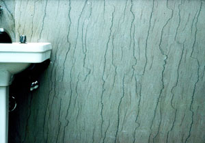 Pressure solution seams in the Indiana Limestone on the walls of a rest room at Purdue University, IN. Note that the seams are bed-parallel and originally were horizontal.